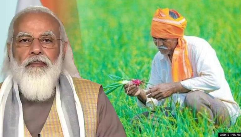 PM Kisan: पीएम किसान स्कीम ने लगाया किसानों का बेड़ा पार, अब तक 3 लाख करोड़ किए ट्रांसफर
